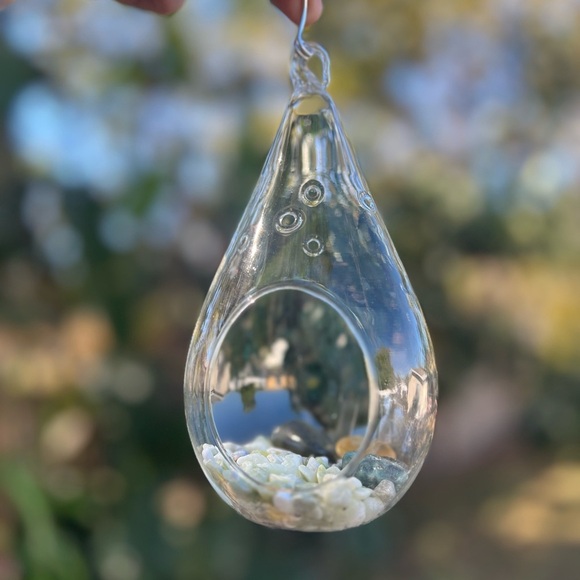 7” Glass Hanging Air Plant Terrarium - Teardrop Shape - Picture 1 of 8